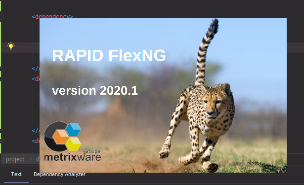 FlexNG : Outil de transformation de code Adobe Flex vers Angular 8+